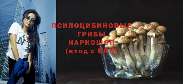 гашиш Каменка